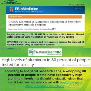 Spritzer Brand - Natural Mineral Water 1.25L X 12 🌟Promo - Image 4