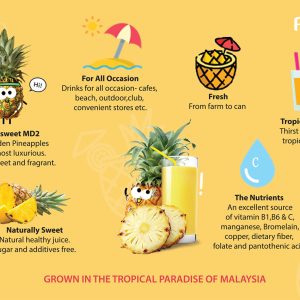 Rida - 100% Pineapple Juice - Classic 250ml *Halal 🤩PROMO! - Image 4