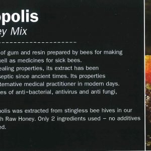 Thai Richy - Eco Thai Bee Propolis Raw Honey 440g 🌟 - Image 4