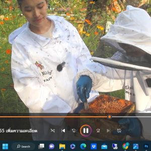 Thai Richy - 100% Pure Natural Honey 🍯515g + 80g=595g *PROMO! - Image 9