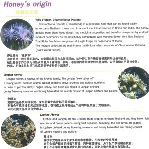 Thai Richy - Raw Honey 500g [Barrel]🍯Promo! *FOC- Propolis Mouth Spray! - Image 6