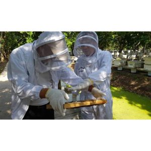 Thai Richy - 100% Pure Natural Honey 515g 🍯 *Promo! - Image 5