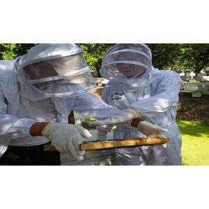 Thai Richy - Raw Honey 500g [Bucket] 🍯Promo! *FOC-Propolis Mouth Spray! - Image 7