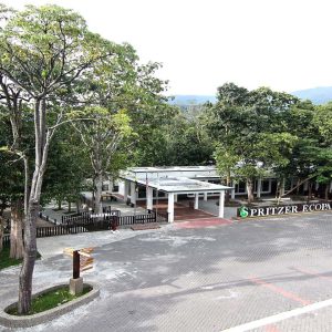 Spritzer Brand - Natural Mineral Water 1.25L X 12 🌟Promo - Image 11